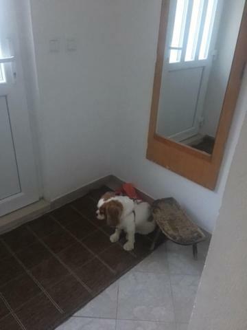 Holiday Home Gandalj_2 لوكفا روجوزنيكا المظهر الخارجي الصورة